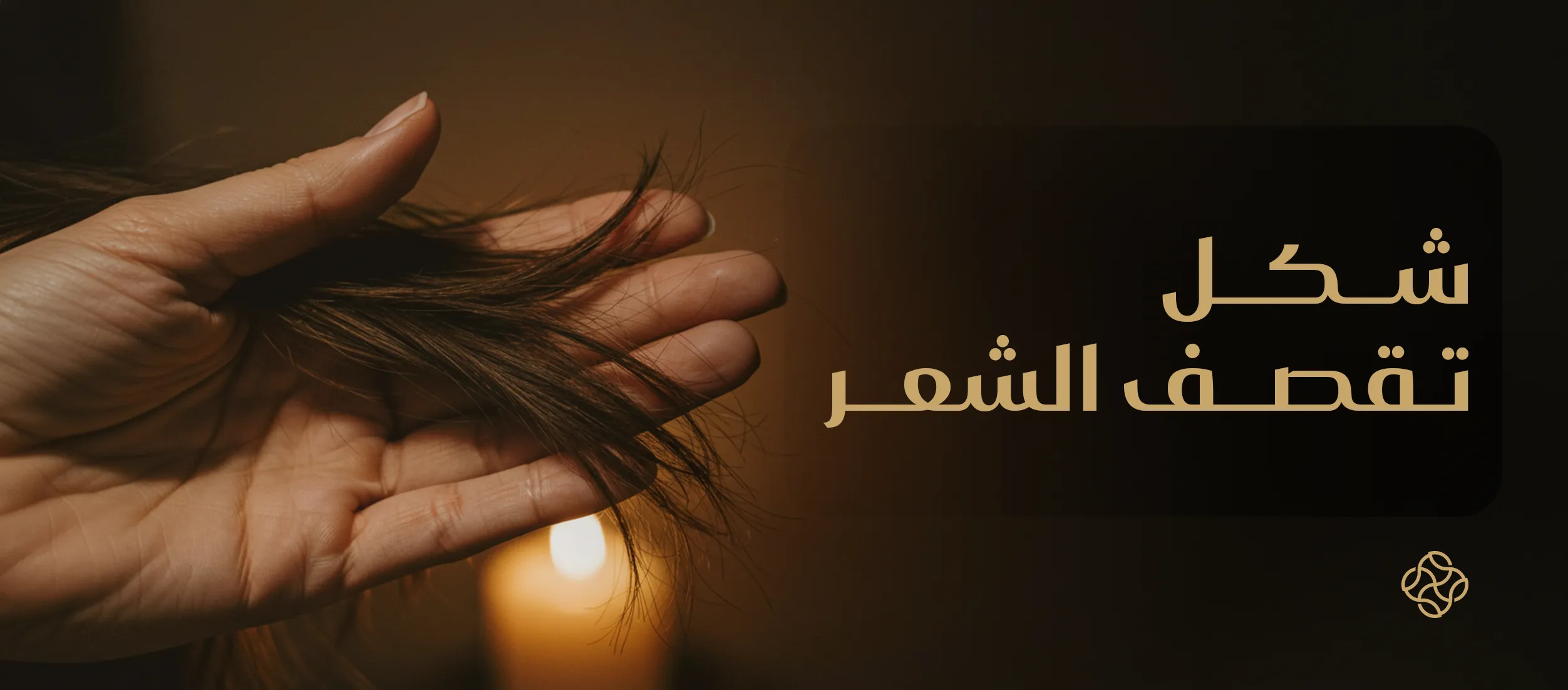 The reason for hair breakage from the text