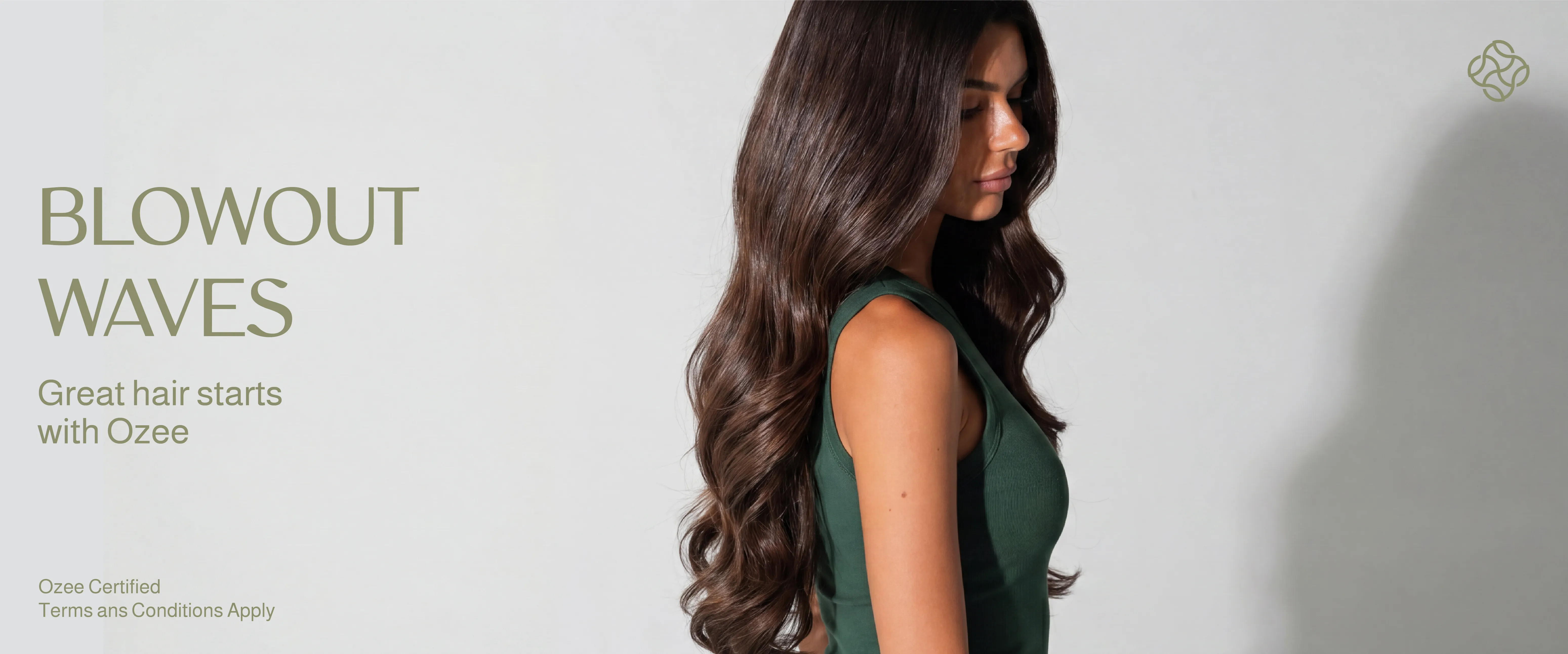 Wavy Brush Blow Dry